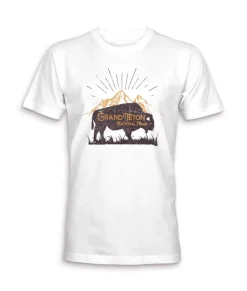 Men Nayked Apparel T-Shirts>Men'S Ridiculously Soft Midweight Graphic Tee | Grand Teton National Park